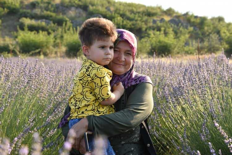 <p>Balıkesir'in Sındırgı ilçesinde belediye tarafında oluşturulan lavanta bahçesine İzmir, Balıkesir, çevre iller ve Sındırgılı vatandaşlar büyük ilgi gösteriyor. Son yıllarda Balıkesir Büyükşehir Belediyesinin lavanta ekimini teşvik etmesi, lavanta ve lavantadan çıkarılan yağlar, Isparta'da üretilen güle rakip olacak gibi görülüyor.</p>