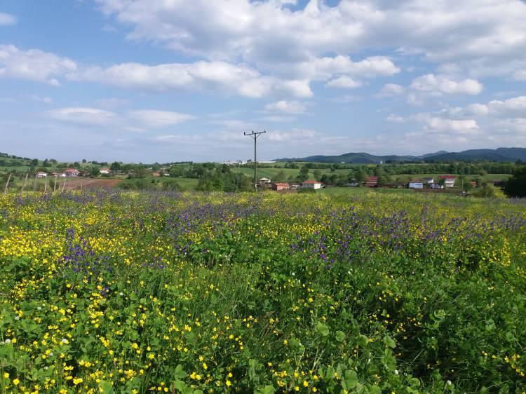<p>Karadeniz Bölgesi'nin en büyük ili Samsun, insanlara dört mevsim ayrı bir güzellik sunuyor. Samsun; uçsuz bucaksız kumsalları, ovaları, kayak merkezi, kanyonu, dağları, baraj gölleri ve kültürel zenginliği ile Türkiye’deki nadir illerden birisi. Yazın plajları, kışın Akdağ Kayak Merkezi çekim noktası oluyor. UNESCO Dünya Miras Geçici Listesi’nde bulunan Kızılırmak Deltası Kuş Cenneti, dört mevsim ziyaretçilerini ağırlıyor.<br />
</p>