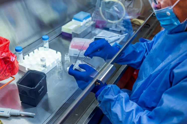 <p>Öte yandan, aşının ilk 100 milyon dozunun öncelikli olarak üretici İngiltere'de, 400 milyon dozunun ise ABD'de dağıtımı iki ay önce kararlaştırılmıştı.</p>
