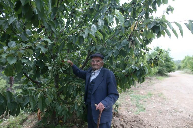 <p>Bursa'nın Orhaneli ilçesinde yaşayan 85 yaşındaki İbrahim Alan, yol kenarlarına ve gölet çevresine meyve ağaçları ve sebzeler ekip, gelen vatandaşların faydalanması için hayrat bahçesi yaptı.</p>
