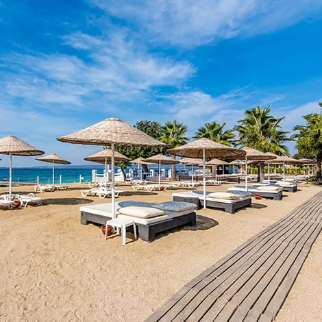 <p>Didim %21</p>
