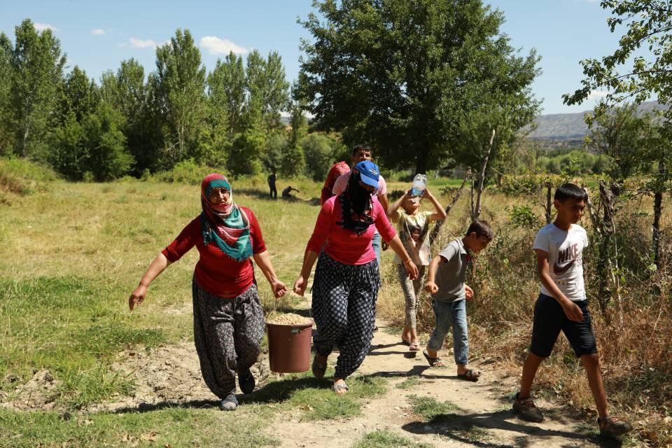 <div>Pekmezin çok sağlıklı olduğunu ifade eden Alakaş, "Hiçbir katkı maddesi kullanmıyoruz. Kilogramı geçen seneye oranla bu sene biraz daha pahalı. Doğal ve organiktir." diye konuştu. </div>
<div> </div>