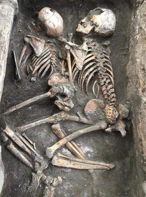 <p>Tabi DNA'nın korunma durumuna da bağlı ancak akrabalık ilişkilerini anlamamız mümkün olacak. Onun dışında, yaşam sürelerini hastalıkları ve beslenme alışkanlıklarını bu kemikler üzerinden saptamamız mümkün olacak” ifadelerini kullandı.</p>
<p> </p>