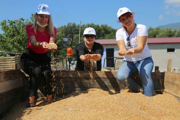 <p>"Karakılçık buğdayı, Anadolu topraklarının en verimli, besin kaynağı ve vitamin değeri yüksek tarım ürünlerinden biridir. Anadolu'da herkes karakılçık buğdayını bilir. Burada da hem başak olarak büyük hem de verim oranı yüksek. Karakılçık tohumunun Anadolu'daki adı '1'e 10'dur. Anadolu topraklarının tanıdığı, insanların lezzetini beğendiği karakılçık tohumunu Karadeniz'de yaygınlaştıracağız. Burada ürettiğimiz tohumları ekmek isteyen Atakumlu çiftçilerle paylaşacağız. Gübrelemesini, veriminin artırılmasını, tohum elde etmelerini, tohum biriktirmelerini, güçlü bir tohum stoku elde etmelerini takip edeceğiz."</p>
