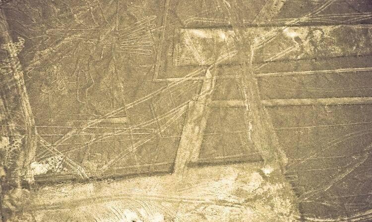 <p>Daha sonra bu çizgilerin, başlangıçta Latin Amerika'da düzenlenen ilk olimpiyatların atletizm pistleri olduğu da iddia edildi. Astrologlar ise maymun, kuş ve fok gibi hayvan şekillerinin dev bir yıldız falı olduğunu söylediler.</p>
<p> </p>