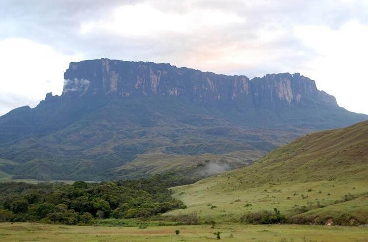 <p><strong>Mount Roraima / Roraima Dağı (Venezuella)</strong></p>
<p>Devasa büyüklükteki gerçeküstü bir dağ. Olağandışı bitki ve hayvanların çokluğuyla dikkat çeken bu yer dünyanın en gizemli yerlerinden biri olduğu söyleniyor.</p>