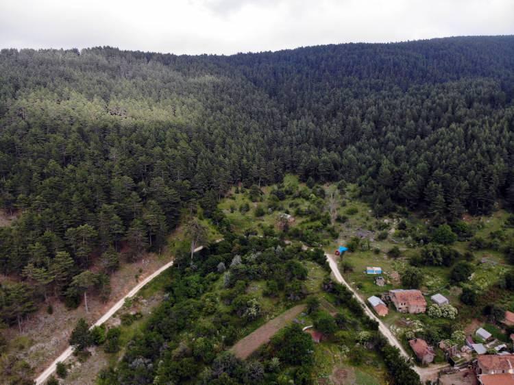 <p>Kolay ulaşılabilirliği dolayısıyla ziyaretçi çeken yaylalar, yeni tip koronavirüs (Kovid-19) sürecinin ardından özellikle izole tatil geçirmek isteyenlerin tercihi oluyor.</p>

<p>Kavurucu sıcaklarda 1400 rakımlı yaylaların serin havasının keyfini süren ziyaretçiler, burada zaman zaman doğa yürüyüşü yaparak kamp kuruyor.  </p>

<p>İl Kültür ve Turizm Müdürü Mehmet Kocabıçak, AA muhabirine yaptığı açıklamada, normalleşme süreciyle yaylalara doğru turizm hareketliliğinin başladığını söyledi. </p>
