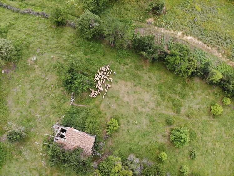 <p>Bozüyük ilçesine 35 kilometre uzakta, çamların arasında yer alan sıralı yaylalar Sofular, Atalan, Kömürsu, Üç Tepeler, Bilecik'in yanı sıra bölgeye 2 saatlik mesafedeki Eskişehir, Kütahya, Bursa ve Sakarya'dan doğaseverlerin ilgisini çekiyor.</p>
