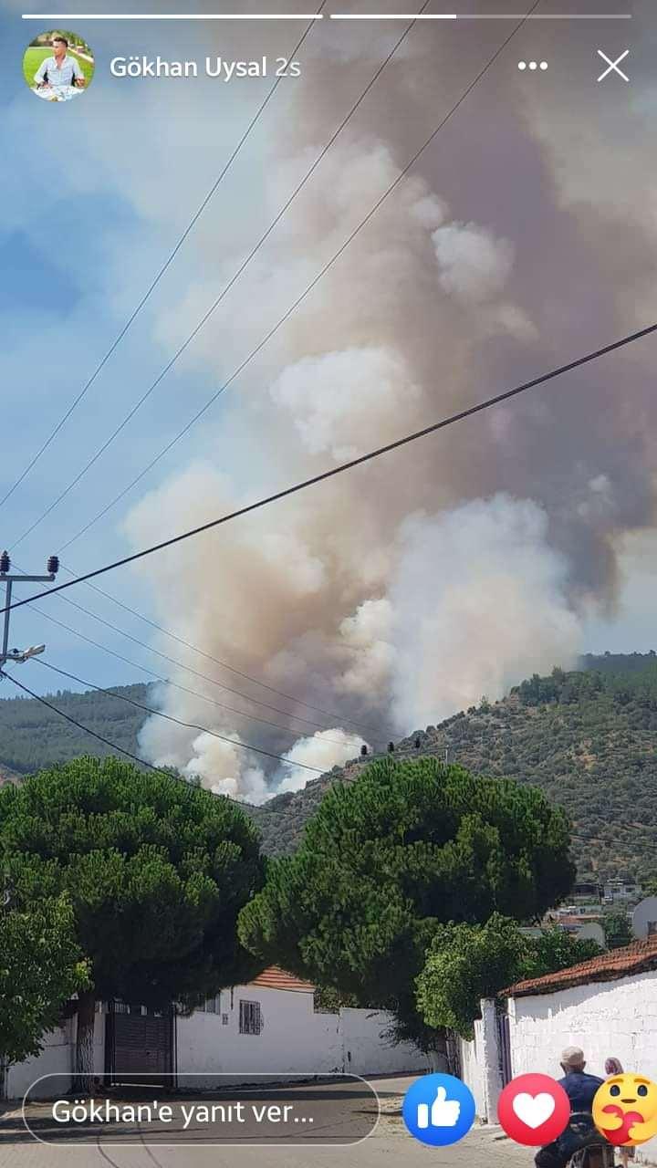 <p>Aydın'da sabah saatlerinde başlayan orman yangını ekiplerin havadan ve karadan devam eden tüm çabalarına rağmen söndürülemedi. </p>
