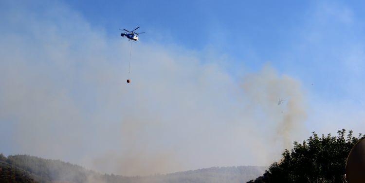 <div>Öğlenden sonra rüzgarla birlikte yeniden kontrolden çıkan alevler tüm bölgeyi sardı.</div>

<div>Aydın Orman İşletme Müdürlüğü başta olmak üzere çevredeki tüm bölgelerden Dalama'daki yangını söndürmesi için personel takviyesi yapılırken arazözlerin de yangın bölgesine su taşımasına yardımcı olması için Aydın Büyükşehir Belediyesi'ne ait itfaiye araçları dört çekerli araçların hareket edebileceği bölgeye kadar su taşıdı.</div>
