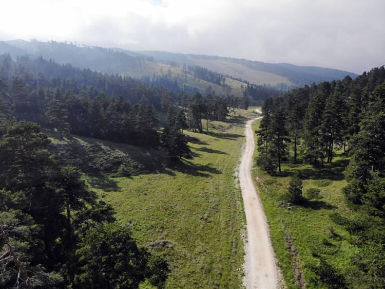 <p>Doğanın korunmasının önemli olduğu vurgulayan Durgut, "Bu yaylaları kaçış noktaları olarak görebiliriz. Hem piknik yapıyoruz hem de doğanın güzelliğiyle baş başa kalıyoruz. Tüm güzellikleri burada yaşamak mümkün, burası bizi çok mutlu ediyor." dedi. </p>
