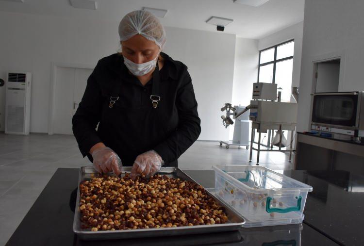 <p>Güler, Türkiye'nin fındık ihracatı gelirinin 2-2,5 milyar dolar olduğunu ancak katma değeri yüksek ürünlere çevrilmesi halinde rakamın daha da artacağını belirterek, "En iyi fındık Karadeniz'de, bizde yetişiyor. Dolayısıyla bunu çikolataya çevirmek istedik. Bununla ilgili bir Çikolata Park kurduk. Orada çikolatanın değişik ürünlerini geliştirdik. Bununla ilgili çalışmalar devam ediyor." diye konuştu.  </p>
