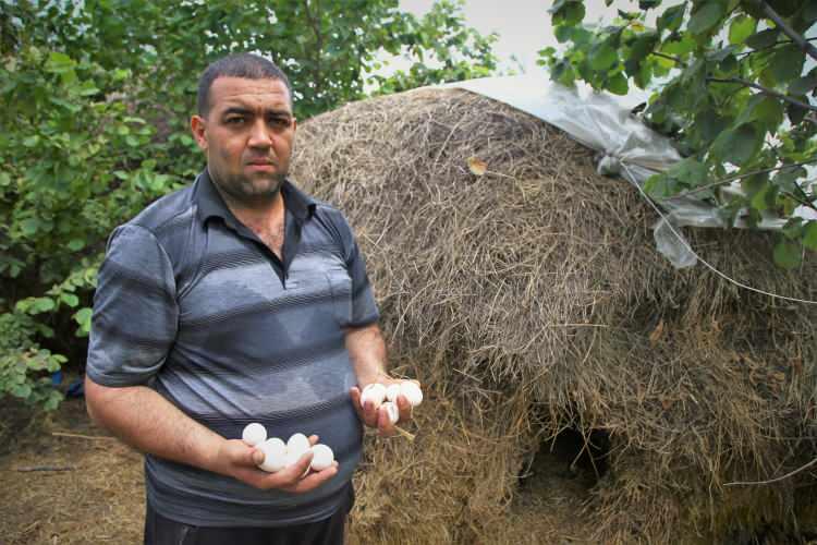 <p>- Ağır silahların ateşi Azizovlar ailesini korkutmuyor</p>
<p>Ermenistan ordusunun saldırılarına hedef olan fakat evlerini terk etmeyi asla düşünmeyen ailelerden biri de sınırın en uç noktasındaki Ağdam köyünde yaşayan Azizovlar ailesi.</p>
<p>Anne Turane Aliyeva ile çocukları İzzet ve Pervane Azizova, günlük yaşamlarını mermi sesleri altında sürdürüyor.</p>
