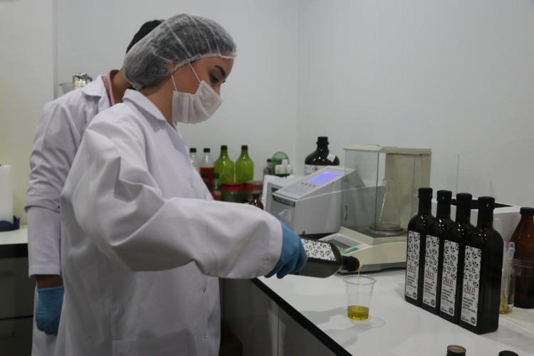 <p>- "Tıpkı bir bebekle ilgilenir gibi ilgileniyorum"</p>

<p>Türk zeytinyağını tüm dünyaya tanıtmak istediğini vurgulayan Aydın, yaşamını bu mücadeleye adadığını söyledi.</p>
