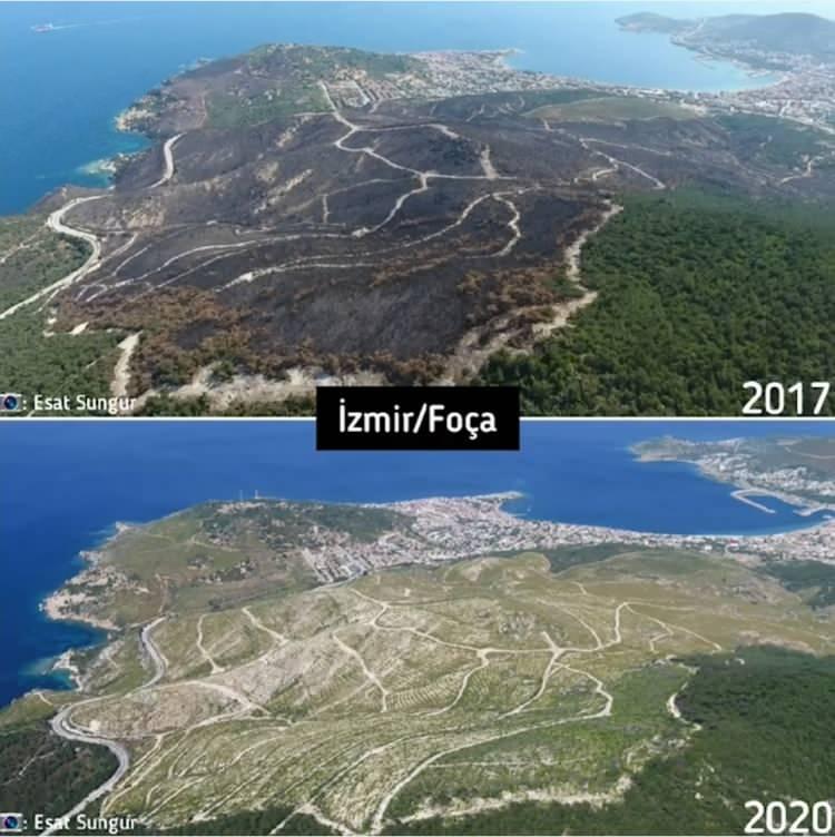 <p>Türkiye'de çıkan orman yangınları sonrası ormanların yeniden yeşillenmesi Orman Genel Müdürlüğü tarafından böyle görüntülendi.</p>
