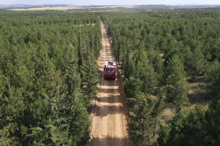 <p>İbreli (iğne yapraklı) ormanların yangınlara karşı daha hassas olduğunu belirten Ceylan, mayısta başlayan yangın sezonu öncesi gerekli tedbirleri aldıklarını ifade etti.</p>
