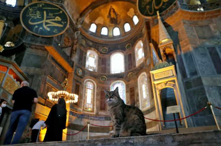 <p>Sevimliliğiyle dikkatleri üzerine çeken Gli ile fotoğraf çekinmek için vatandaşlar adeta sıraya giriyor.</p>