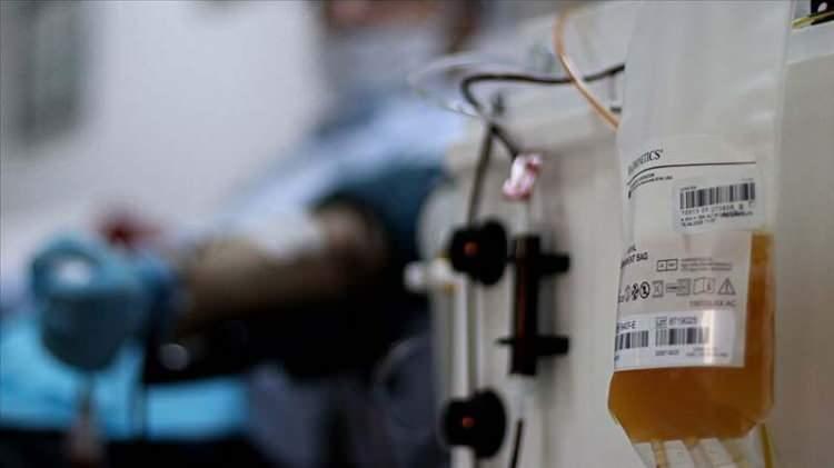 <p>21 Temmuz’da ilacın koronavirüs üzerinde etkili sonuçları yayınlandığı andan öğle saatlerine kadar Synairgen şirketinin hisseleri yüzde 540 değer kazandı.</p>
