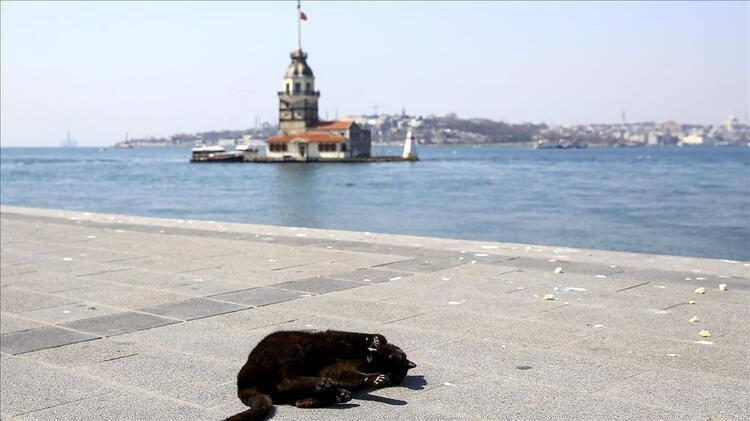<p>CEZAYA RAĞMEN KURALLARA UYULMUYOR <br />
Kentin birçok noktasında polisler, sosyal mesafe kuralına uyulması yönünde anonslar yapıyor. Güvenlik güçlerinin, sosyal mesafeye uymayan ya da maske kullanmayan kişilere para cezası uygulamasına rağmen, caddelerde sosyal mesafeye uymadan dolaşanlar olduğu görülüyor.</p>
