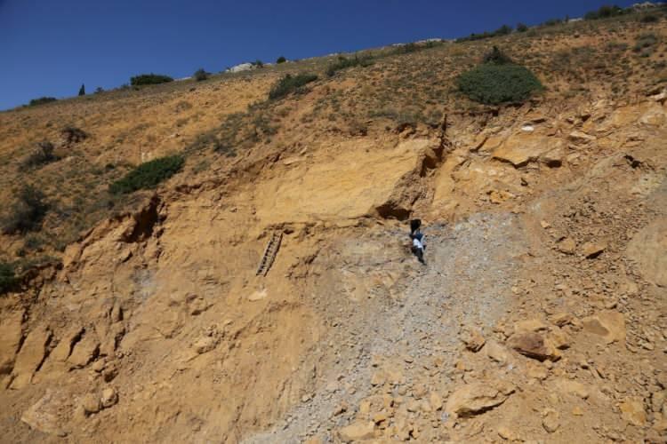 <p>Zengin doğal taş rezervleriyle bilinen Bayburt'ta, kehribar ve Türkiye'de sadece Elazığ'da çıkarılan vişne mermeri rezervi tespit edildi.</p>
