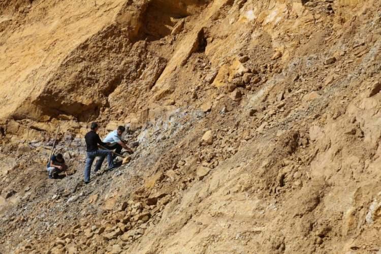 <p><strong>Çıkardıkları kehribardan şu an için hobi olarak tesbih, kolye gibi hediyelik ürünler yaptığını anlatan Haşlak, şu değerlendirmede bulundu:</strong></p>
<p>"Kehribar numunelerini birkaç yere gönderdik. Rezerv durumu beklentilerimiz gibi çıkarsa bu alanda ciddi bir yatırım yapacağız. Bu hem ilimiz hem de ülke ekonomimiz için çok iyi olacak. Ülkemiz bu rezervle şimdiden doğal kehribar çıkan 8-10 ülke arasına girmiş oldu. Bu bir gerçek ve bilimsel olarak raporlarımız da var. Ruhsatımız 63 bin dekarı kapsıyor. Bu sahada kehribarla birlikte dünyada nadir bulunan, Türkiye'de ise sadece Elazığ'da çıkarılan vişne mermerinin de tespitini yaptık. Alandan karot aldığımız zaman bize yüzde 80 fikir verecek, yıllık şu kadar ton diye."</p>