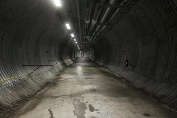 <p>'Svalbard Küresel Tohum Deposu' bitkilerin soyunun tükenmesi olasılığına karşı bir sığınak olarak inşa edilmişti. </p>
<p>Bir dağın içine oyulmuş olan ve içinde gezegenimizin dört bir köşesinden getirilen 500 milyondan fazla bitki türünün bulunduğu yapı, olası bir küresel felakette bitki türlerinin yok olmasına mani olmak adına kurulmuştu.</p>
<p> </p>