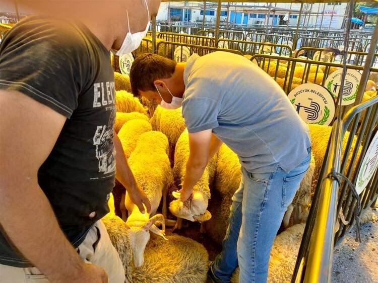 <p>Kurban bayramı tatili süresince Karayolları Genel Müdürlüğü sorumluluğundaki köprü ve otoyollardan geçişler ile belediyelerce yürütülen toplu taşıma hizmetleri ücretsiz olacak. Cumhurbaşkanı Tayyip Erdoğan’ın imzasıyla Resmi Gazete’de yayımlanan karara göre,</p>
<p> </p>
