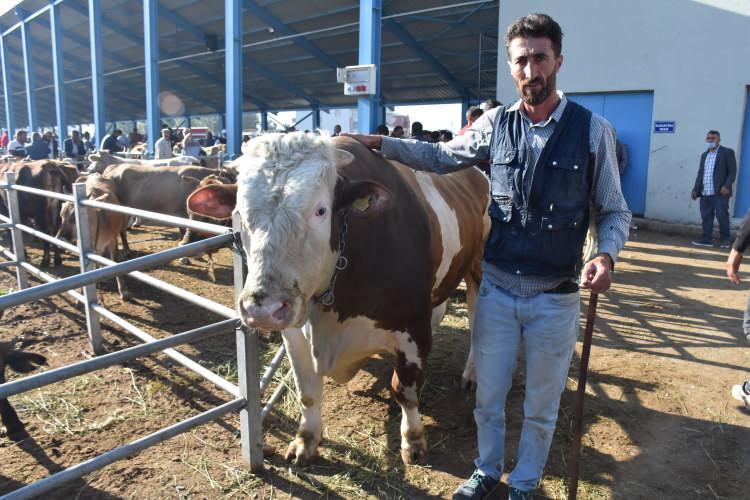 <p><strong>Besiciler ile alıcılar arasında sıkı pazarlıklar yaşanıyor</strong></p>
<p>Besiciler, kurbanlık için özel olarak besledikleri ve pazarda satışa sundukları hayvanları iyi fiyata satmak için sıkı pazarlığa giriyor.</p>