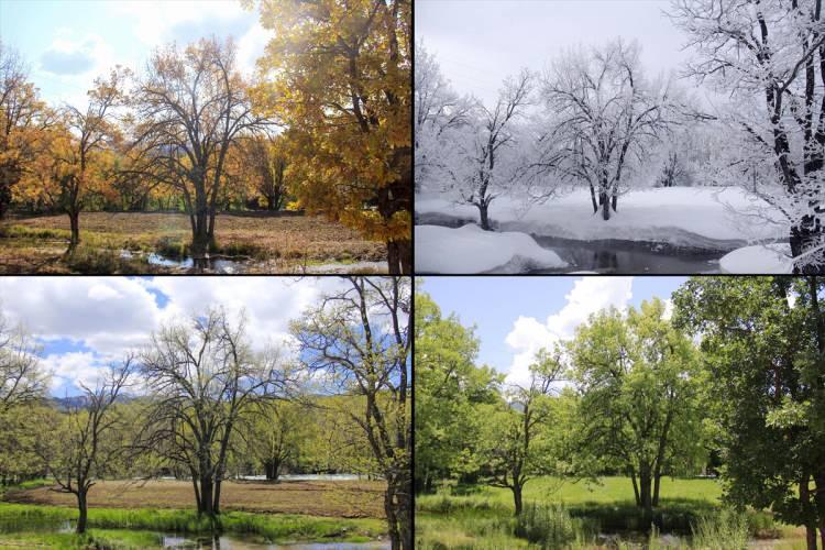 <p>Tunceli'nin Ovacık ilçesinde, farklı bitki örtüsü ve tonlarının oluştuğu doğada, aynı noktadan farklı zamanlarda çekilen fotoğraf kareleri, dört mevsimi olanca güzelliğiyle gözler önüne seriyor.</p>
