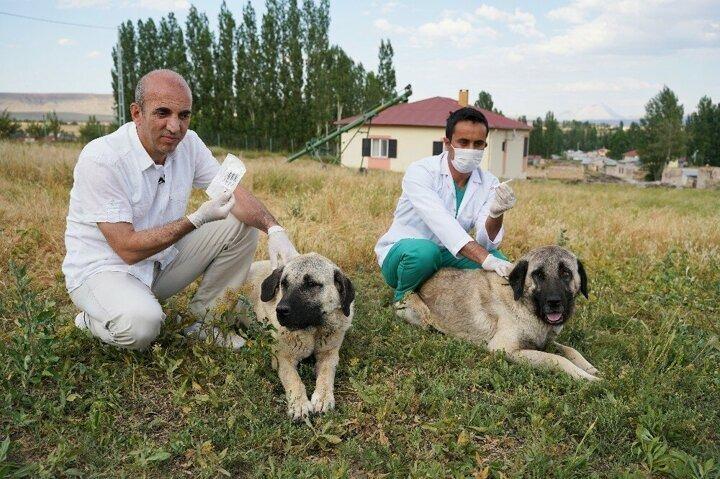 <p>Bu proje ile Sivas merkeze bağlı Çelebiler köyü Meraküm mevkiinde yaklaşık 43 dönümlük arazi üzerine Kangal Köpeği Üretim, Eğitim ve Koruma Merkezi kurulacak. Toplamda 7 milyon lira bütçeli projenin maliyetinin yüzde 75’i ORAN tarafından karşılanacak.</p>