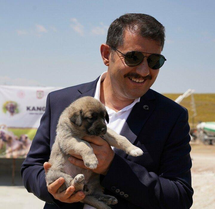 <p>Merkezin en önemli fonksiyonu, safkan kangal köpeklerinin üretilmesi ve genlerinin korunması olacak. Yetiştirilen kangallar, çiple takip edilecek. Deri altına yerleştirilecek çiplerde, kangalların doğum tarihi, anne ve babasının ismi, ne tür hastalıklar geçirdikleri gibi bilgiler yer alacak. Hayvanların kaybolması halinde de takipleri bu çip sayesinde gerçekleşecek.</p>
