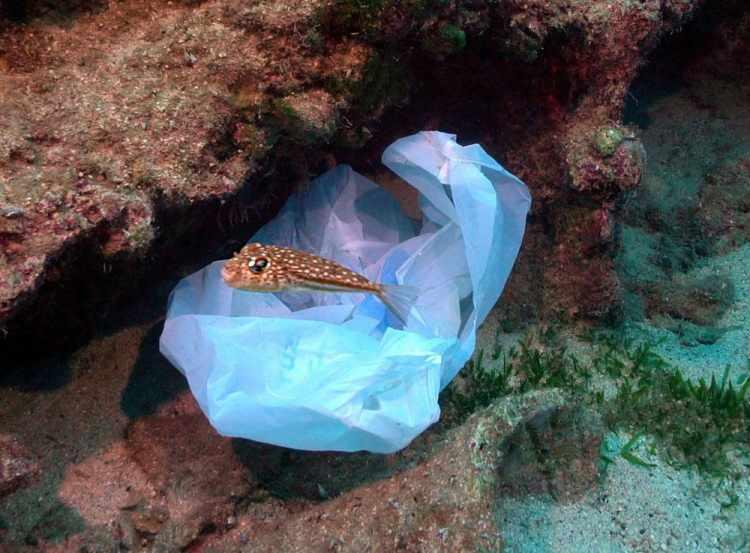 Kaş Limanı'nda 'utandıran fotoğraflar'