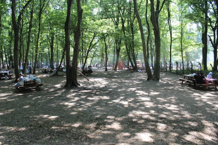 <p>Kurban Bayramı’nın ikinci gününde memleketlerine veya tatile gitmeyen İstanbullular bayram tatilini değerlendirmek için parklara ve yeşil alanlara koştu. Vatandaşlar piknik yapmak ve nefes almak için özellikle İstanbul’un en büyük yeşil alanlarından biri olan Belgrad Ormanı’na akın etti. Ailesiyle veya arkadaşlarıyla ormana gelen İstanbullular ormanın tadını çıkardı. Ormanın kalabalık olduğu görüldü. Şehrin stresinden uzaklaşmak için ormana gelenler havadan da görüntülendi. Alanda kimi vatandaşların korona virüs önlemleri kapsamında maske taktığı görüldü.<br />
</p>