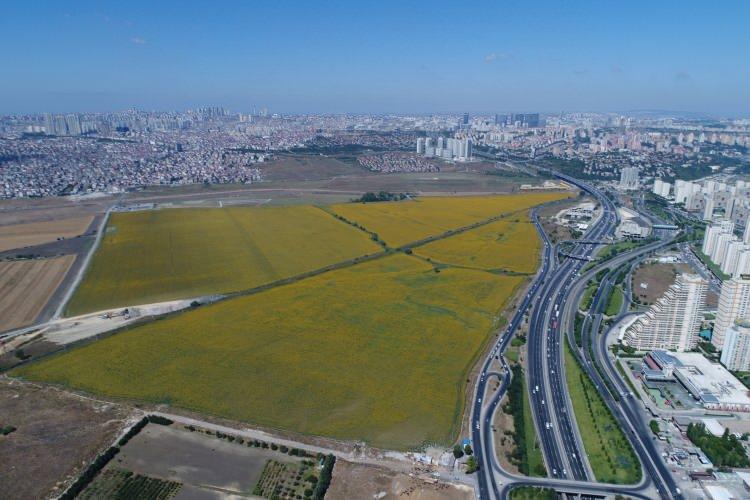 <p>Trakya ve bölgesinde sıklıkla görülen ayçiçeği tarlaları İstanbul Avcılar’a bağlı Isparta Kule’de havadan görüntülendi. Havadan çekilen görüntülerde, adeta sarı örtü ile örtülmüş görünümü veren ayçiçeği tarlalarının devasa görüntüsü kendine hayran bıraktı.<br />
 </p>
