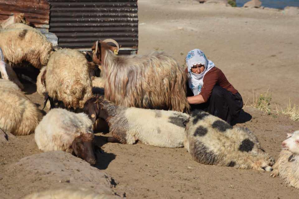 <p>Nemrut Dağı eteklerindeki yaylalara hayvanlarını çıkaran köylüler, bu tozlu yolculuğu her gün gerçekleştiriyorlar.</p>
