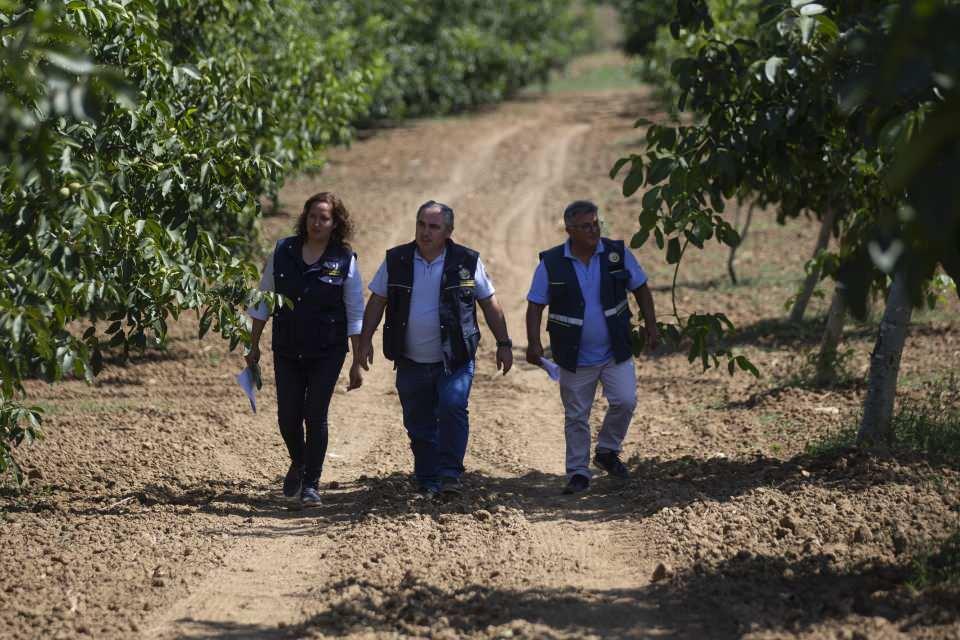 <p>Bugüne kadar yaptığımız özel ağaçlandırma ve gelir getirici türlerin tamamının 15. yaşına geldiğini hesaplarsak 15 bin ton ceviz ve 2 bin 300 ton badem üretmeyi planlıyoruz. Bugünkü fiyatlardan hesapladığımızda 435 milyon lira yapar." diye konuştu.</p>