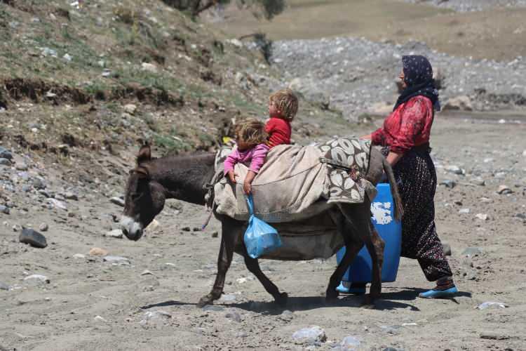 <p>Ağrı'daki verimli yaylalarda çadırlarını kurarak konaklayan göçer kadınlar, eşlerinin yüksek rakımlı dağlarda otlattığı koyunlardan sağılan sütü getirmek için her gün eşek sırtında vadiler ve sarp kayalıklardaki yolları aşıyor.</p>