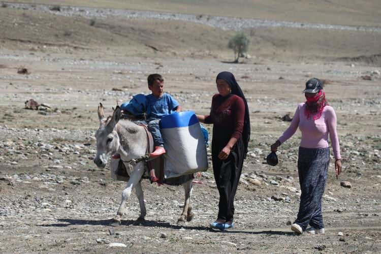 <p>"Yaklaşık 2 aydır yayladayız. Bu sene çok yağmur yağdı ve berivanlar (süt sağan kadın) yağmur altında koyunların yanına gidip geliyordu. Buraya 5 aile geldik. Kiminin 500, kiminin de 1000 koyunu var. Günlerimiz güzel geçiyor. Berivanlar eşeklerle dağlara gidiyor. Zorlu şartlar altında zaman zaman yağmur ve fırtınada koyunların yanına gidiyorlar. Bizde kadınlar koyunların başını tutar, erkekler de sağar. Berivanlar getirdikleri sütlerle peynir yapıyor."</p>