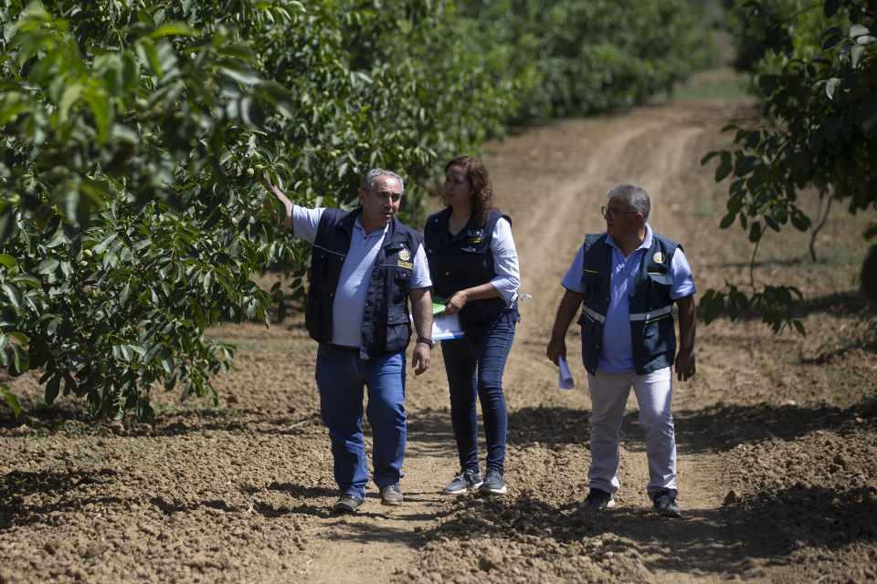 <p> 2013 yılından bu yana 91 köye gelir getirici tür ve özel ağaçlandırma yaptıklarını ifade eden Elitez, "2019 yılında Edirne'de bin ton ceviz, 400 ton badem üretildi. Bunları da 25 lira kilogram fiyatından hesapladığımızda Edirne'ye 35 milyon liralık gelir getirdi. </p>
<p> </p>