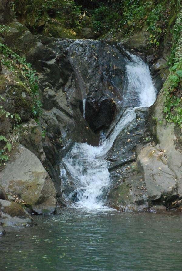<p>Bartın’ın Hasankadı beldesinde, Kırlangıç Şelalesi'nde suyun akış şiddetiyle zamanla oluşan kalp şeklindeki kaya, görenleri şaşırtıyor. Hasankadı Belediye Başkanı Şeref Emiroğlu, kalp şeklindeki kayanın dünyada tek olduğunu söyledi.</p>