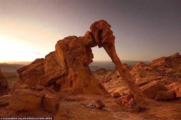 <p><strong>Fil Kayası (Ateş Vadisi Eyalet Parkı, Nevada, ABD)</strong></p>
<p>Bu doğal kumtaşı oluşumunu uzaktan bakıldığında gerçek bir filden ayırmanın imkanı yok.</p>