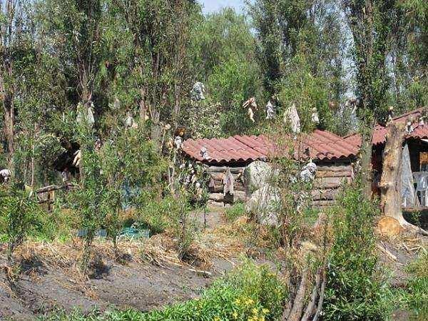 <p>Meksika'da bulunan "Isla de las Munecas" ya da Türkçe adıyla Oyuncak Bebekler Adası bir korku filmi seti ya da bir kabus gibi görünüyor.</p>
<p> </p>