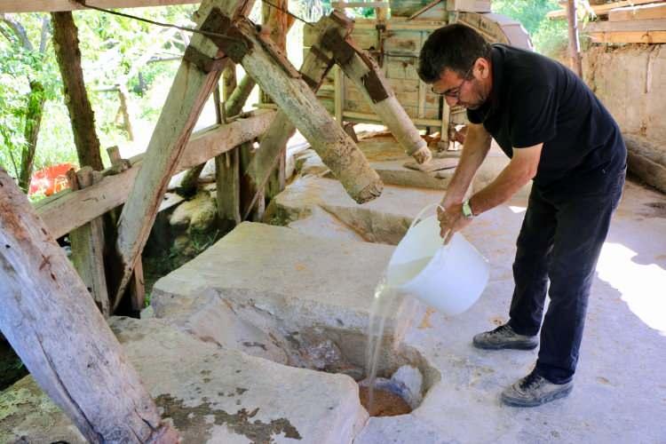 <p>İl merkezine 120, Mihalı&ccedil;&ccedil;ık il&ccedil;esine 27 kilometre uzaklıktaki kırsal G&uuml;rleyik Mahallesi'nde yer alan G&uuml;rleyik &Ccedil;ayı, tertemiz ve bozulmamış yeşil doğasının yanı sıra &uuml;zerinde bulunan 80 yıllık bulgur değirmenine de hayat veriyor.</p>

<p>&nbsp;</p>
