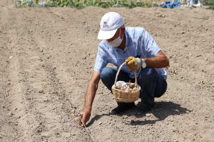 <p>Bu yıl &uuml;retim alanını genişleten Artan, kentte ve b&ouml;lgede bu bitkinin &uuml;retiminde &ouml;nc&uuml; olmak istiyor.</p>
