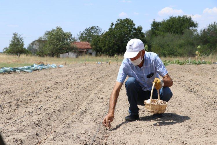 <p>Hasan Artan, AA muhabirine yaptığı a&ccedil;ıklamada, safran &uuml;retimine ge&ccedil;en yıl başladığını s&ouml;yledi.</p>
