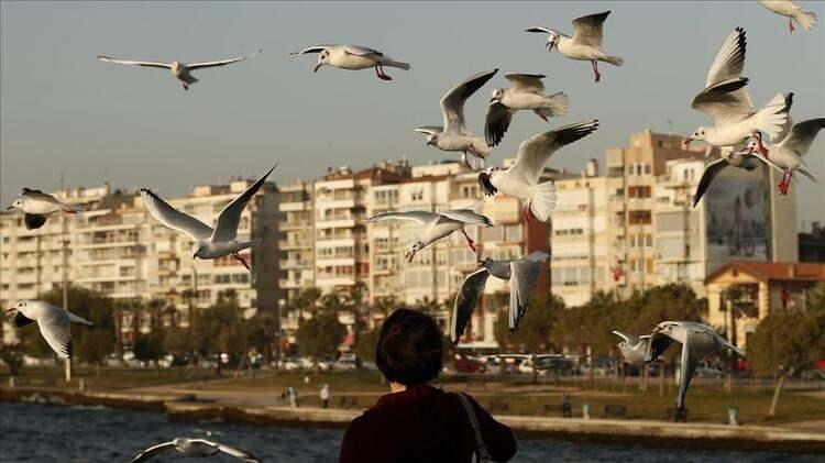 <p>İzmir </p>
<p>Ortalama Konut Metrekare Satış Fiyatı (TL/m2): 3.210<br />
<br />
Ortalama Konut Fiyatı (TL): 398.040<br />
<br />
Geri Dönüş Süresi (Yıl): 20<br />
<br />
Son 1 Yılda Fiyat Değişimi (%): 14,93</p>