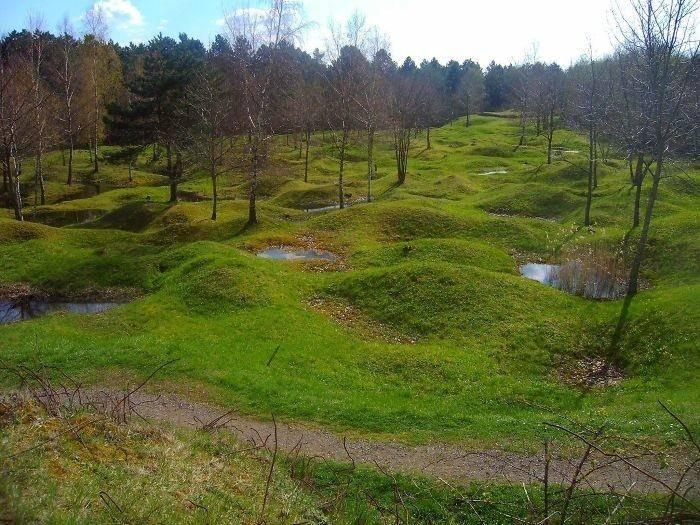 <p>Günümüzde çekilen, binlerce kişinin öldüğü Verdun savaş alanı.</p>
<p> </p>
