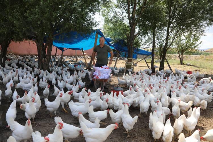<p>Bing&ouml;l'de fabrika olmadığı i&ccedil;in yem fiyatlarının y&uuml;ksek olduğunu savunan Bor, "Yerimiz iyi, yem fiyatları dışında bir sıkıntımız yok. Yumurtayı rahat satıyoruz, talep de olduk&ccedil;a fazla." dedi.</p>
