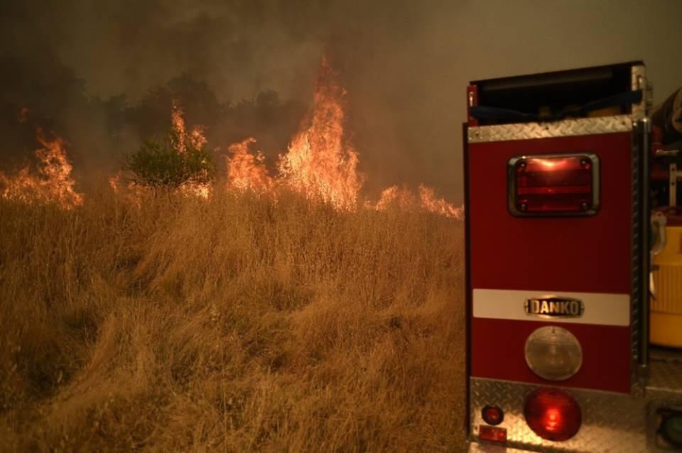<p>ABD’nin California eyaletinde yaklaşık iki hafta önce başlayan orman yangınlarının önüne geçilemiyor. Eyalet genelinde yangınlarla mücadele edilirken, mevcut ve komşu eyaletlerden gelen 12 binden fazla itfaiye eri, yangını kontrol altına almak için yoğun çaba harcıyor. </p>
