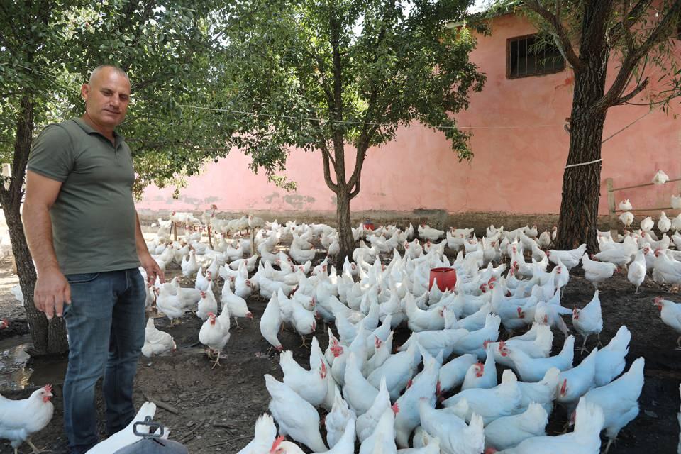 <p>Bingöl'de evinin bahçesine tavuk çiftliği kuran Burhan Bor, günde 1650 yumurta elde ediyor.</p>
<p> </p>